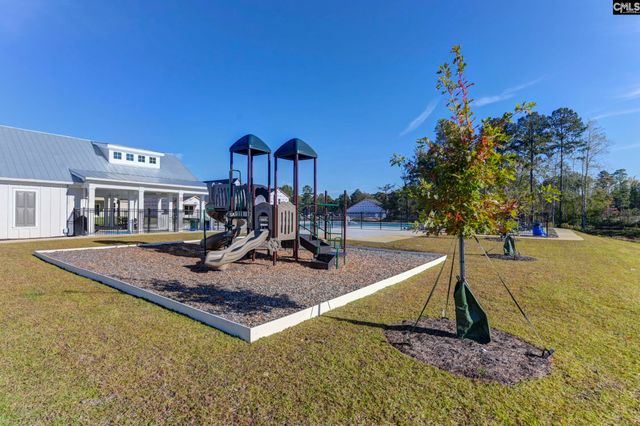 620 Thunder Gulch Avenue, Lexington, SC 29073