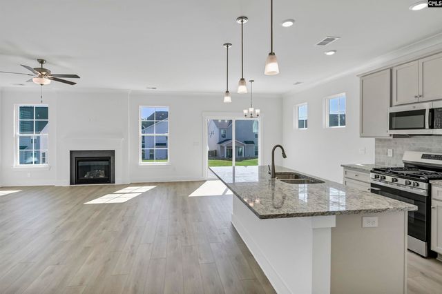 620 Thunder Gulch Avenue, Lexington, SC 29073