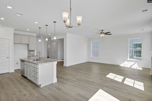 620 Thunder Gulch Avenue, Lexington, SC 29073