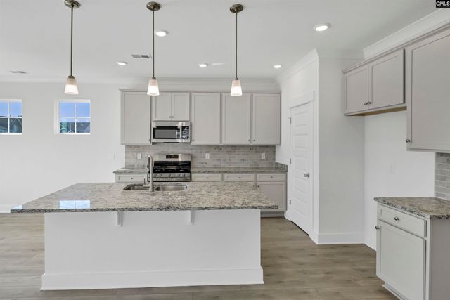620 Thunder Gulch Avenue, Lexington, SC 29073