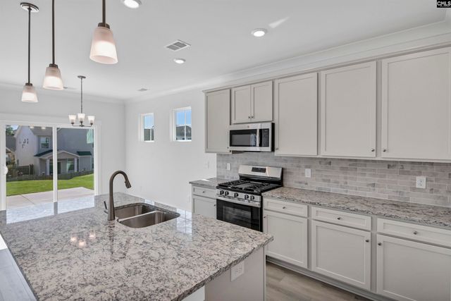 620 Thunder Gulch Avenue, Lexington, SC 29073