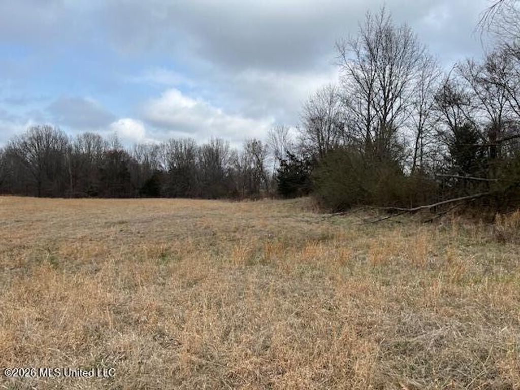 22 Willie Hibbler Road, Senatobia, MS 38668 — exterior