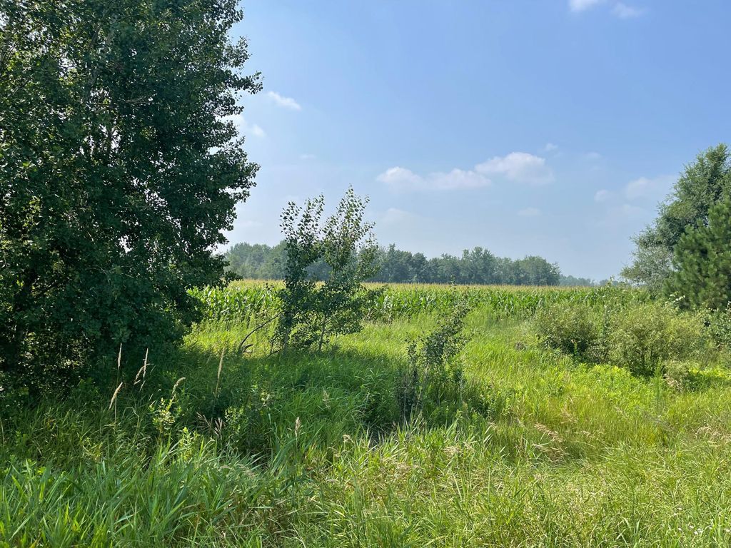 XXX 17th Street, Princeton, MN 55371 — exterior