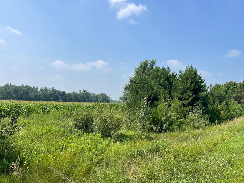 XXX 17th Street, Princeton, MN 55371 — photo 2