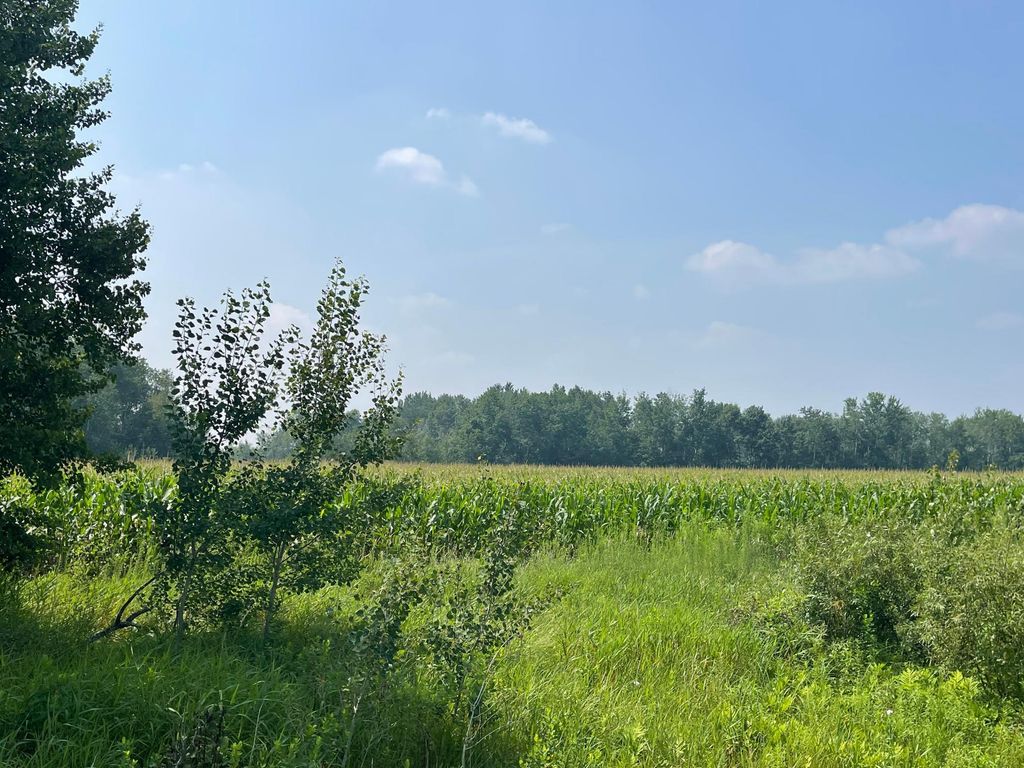 XXX 17th Street, Princeton, MN 55371 — photo 3