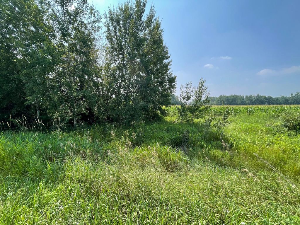 XXX 17th Street, Princeton, MN 55371 — photo 4