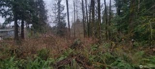 11228 312th Avenue NE, Carnation, WA 98014