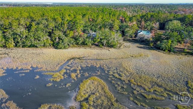 3649 Julienton Drive NE, Townsend, GA 31331