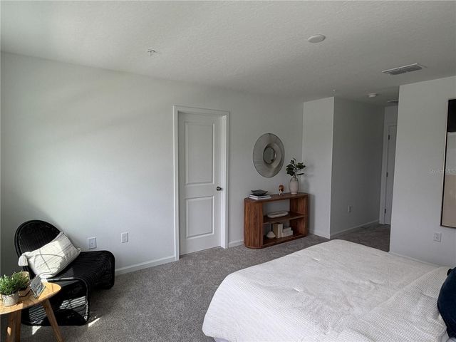 9928 RED CANOE ALLEY, Orlando, FL 32832