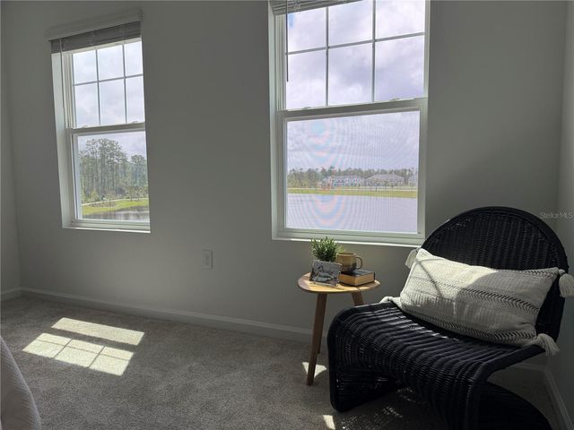 9928 RED CANOE ALLEY, Orlando, FL 32832