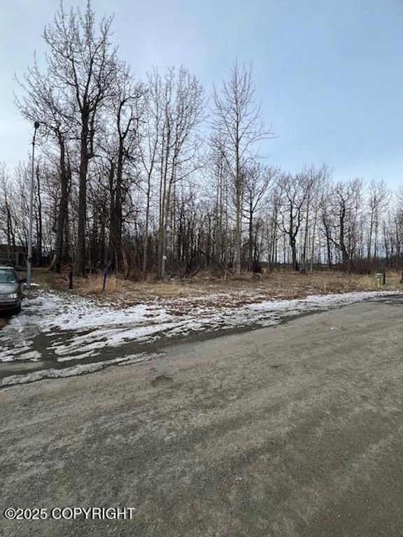 940 S Williwaw Drive, Palmer, AK 99645