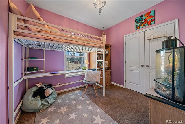 147 Overlook Drive, Bailey, CO 80421