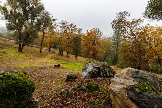 710 Cold Springs Rd, Placerville, CA 95667