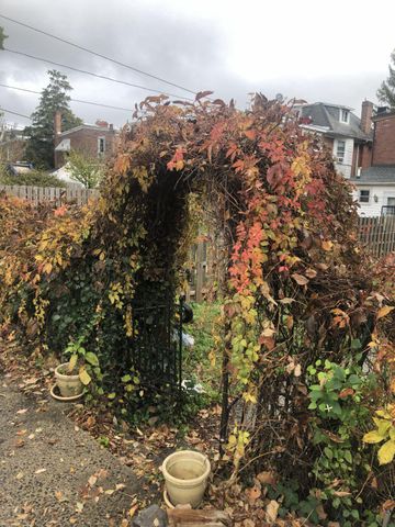 707 STANBRIDGE ST, Norristown, PA 19401