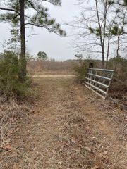 TBD Parcel 6250, Lovelady, TX 75851