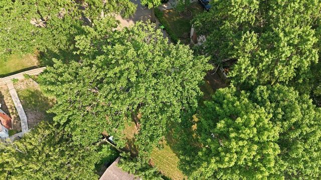 319 N Cleveland Avenue, Belton, MO 64012