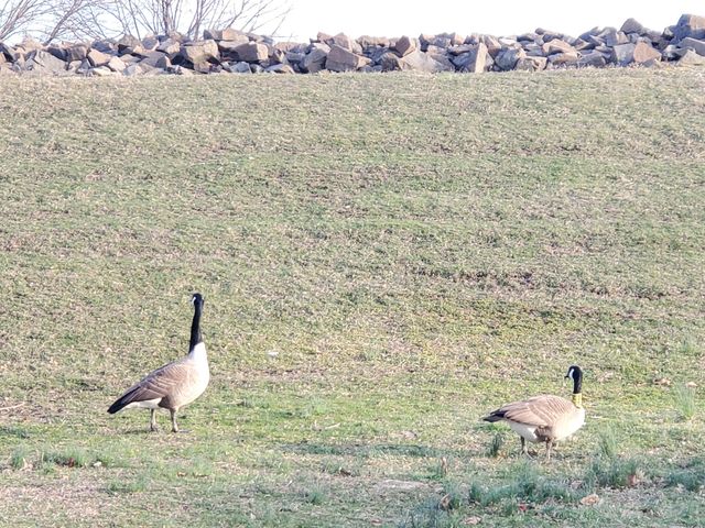 1093 Shippan Avenue, Stamford, CT 06902