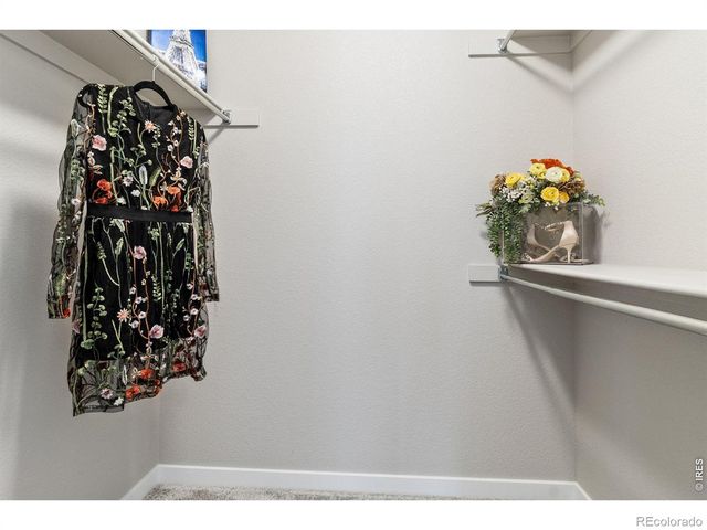 6992 Meadow Rain Way, Wellington, CO 80549