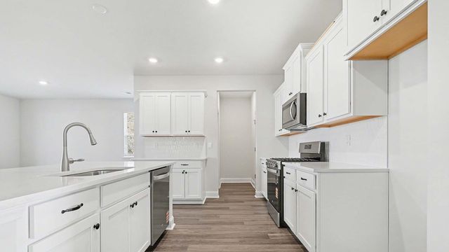 217 Blueberry Fields Ct., Longs, SC 29568