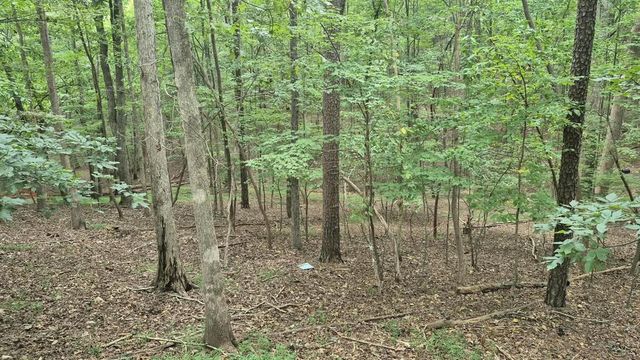 .39 Ac. Villa Drive, Ellijay, GA 30540