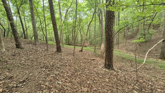 .39 Ac. Villa Drive, Ellijay, GA 30540