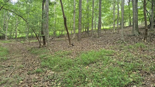 .39 Ac. Villa Drive, Ellijay, GA 30540