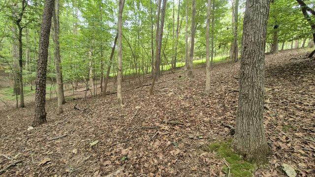 .39 Ac. Villa Drive, Ellijay, GA 30540