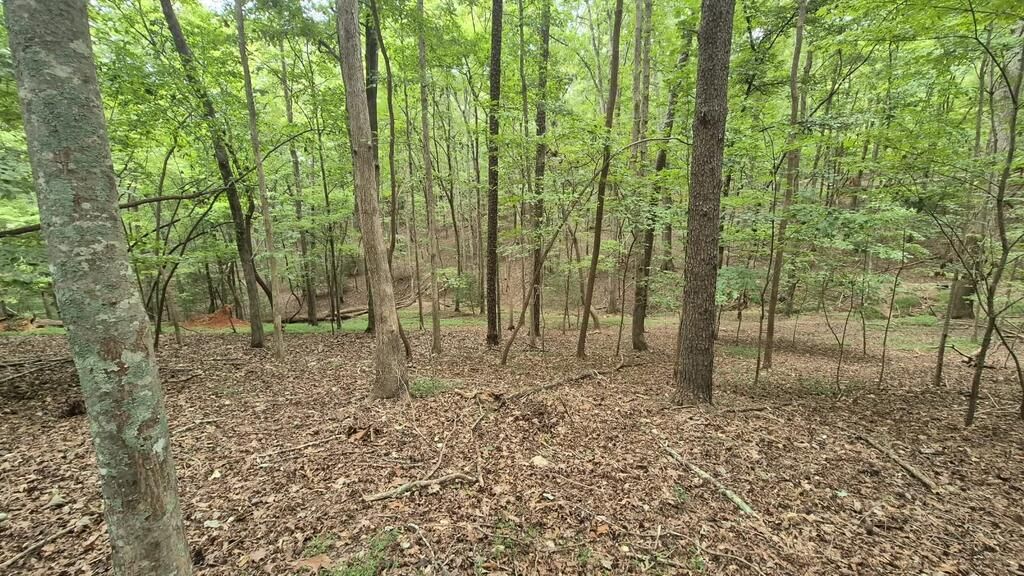 .39 Ac. Villa Drive, Ellijay, GA 30540