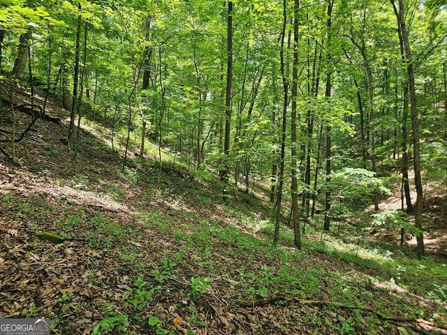 549 NE Myriad Way 549, Ranger, GA 30734