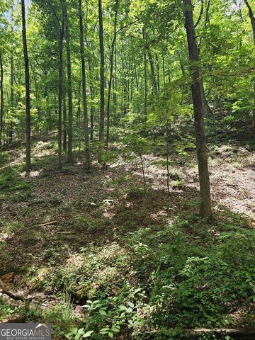 549 NE Myriad Way 549, Ranger, GA 30734