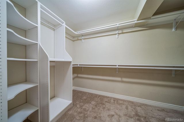 4384 Las Lunas Court, Castle Rock, CO 80104