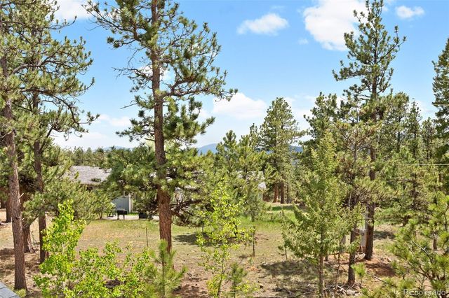 408 Stage Coach Lane, Bailey, CO 80421