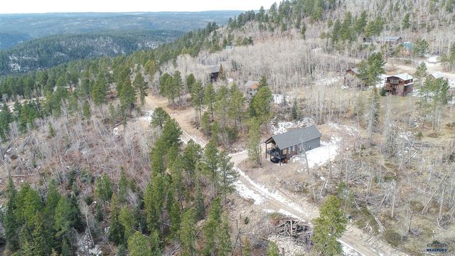 21167 TURKEY TRAIL, Lead, SD 57754