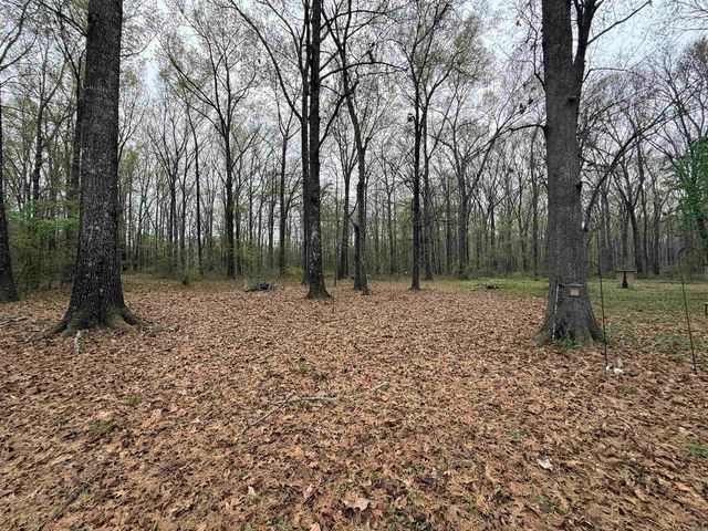 235 W Lewisburg Road, Vilonia, AR 72173