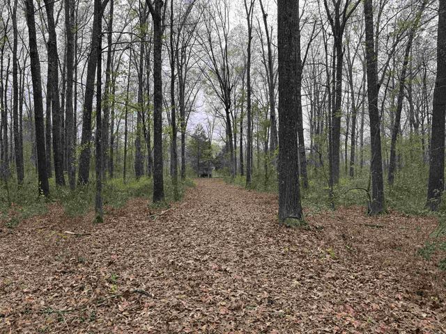 235 W Lewisburg Road, Vilonia, AR 72173