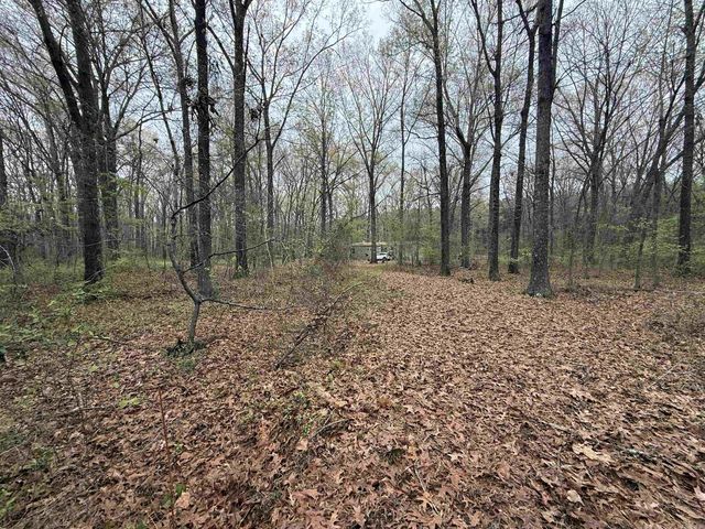235 W Lewisburg Road, Vilonia, AR 72173