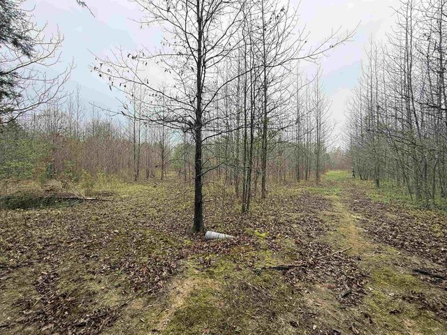 235 W Lewisburg Road, Vilonia, AR 72173