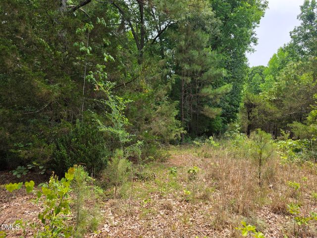 4901 Bluebird House Lane, Raleigh, NC 27616