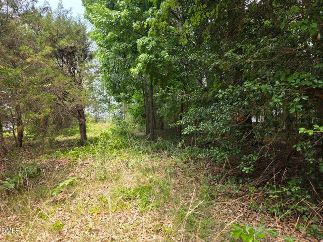 4901 Bluebird House Lane, Raleigh, NC 27616