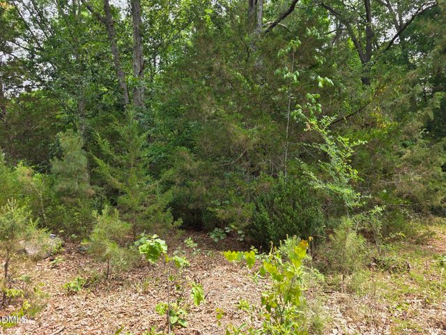 4901 Bluebird House Lane, Raleigh, NC 27616
