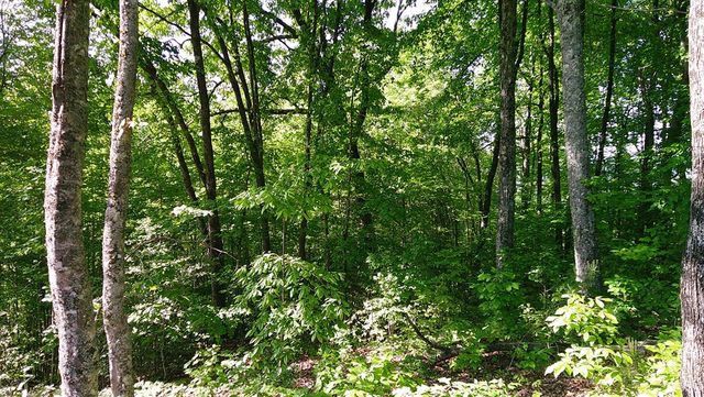00 Fain Peak Drive, Murphy, NC 28906