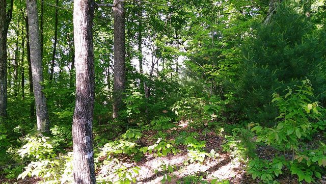 00 Fain Peak Drive, Murphy, NC 28906