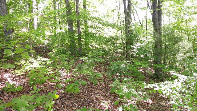 00 Fain Peak Drive, Murphy, NC 28906