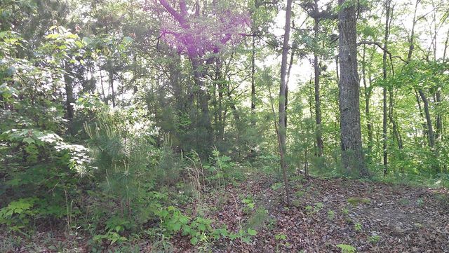 00 Fain Peak Drive, Murphy, NC 28906