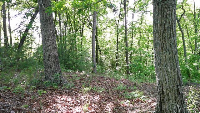 00 Fain Peak Drive, Murphy, NC 28906