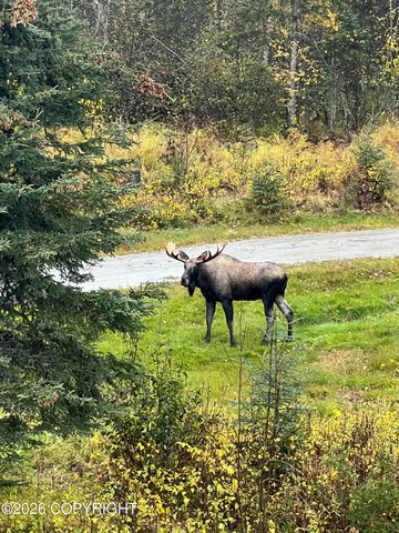 4480 S Betty J Street, Wasilla, AK 99623