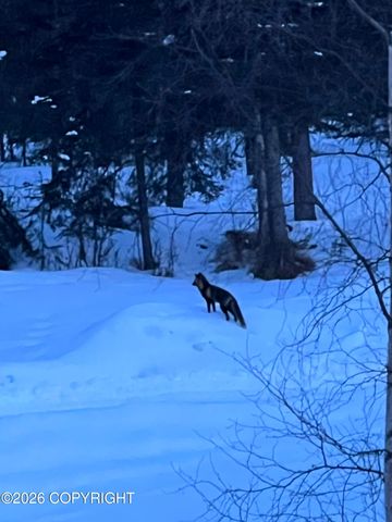 4480 S Betty J Street, Wasilla, AK 99623