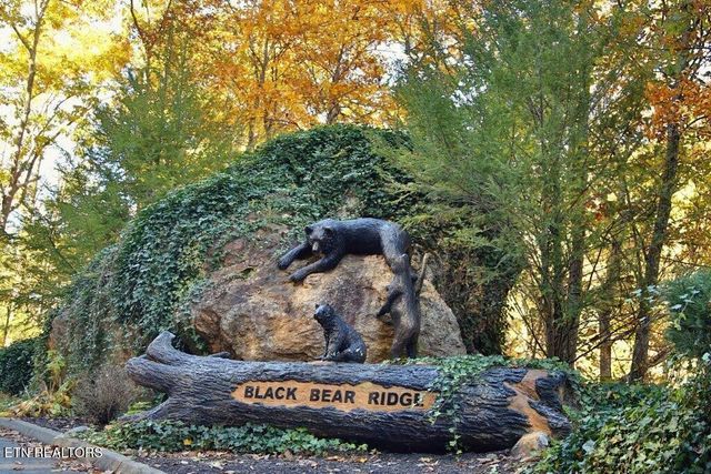 922 Black Bear Cub Way, Sevierville, TN 37862