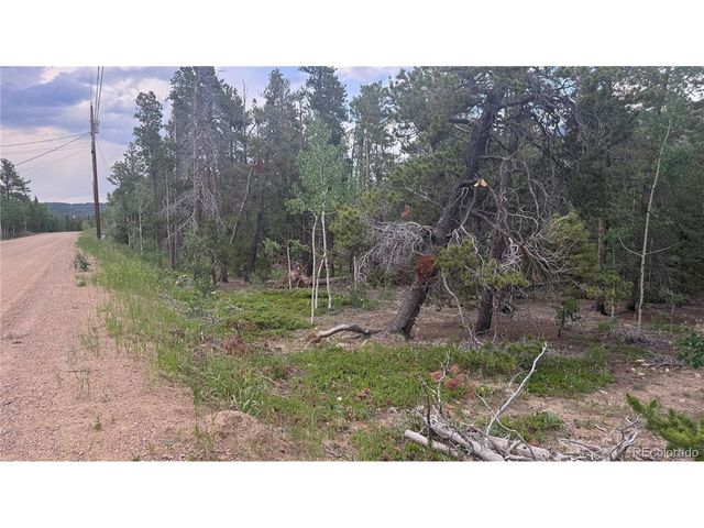 30 Lodge Pole Dr, Black Hawk, CO 80422