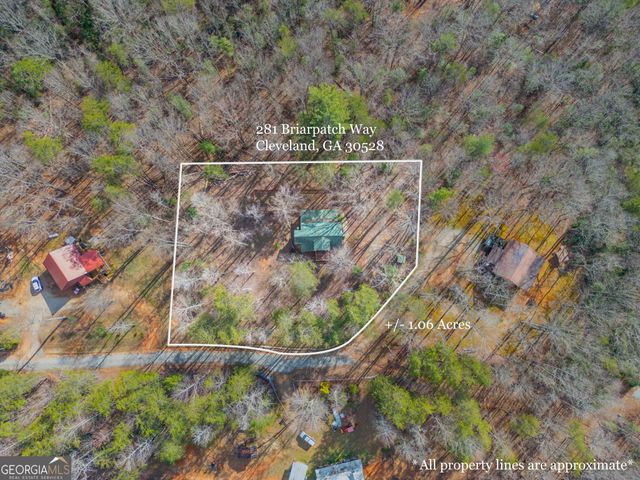 281 Briarpatch Way, Cleveland, GA 30528